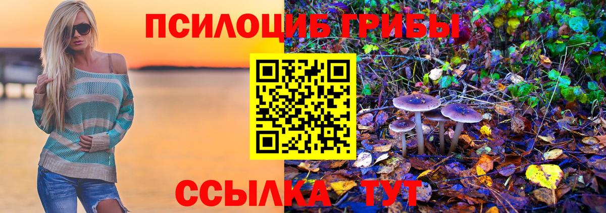 Галлюциногенные грибы Psilocybe  закладка  Воркута  Вход с VPN  Галлюциногенные грибы MAGIC MUSHROOMS 
